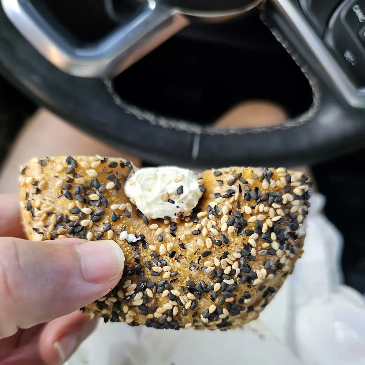 Everything Bagel Chips