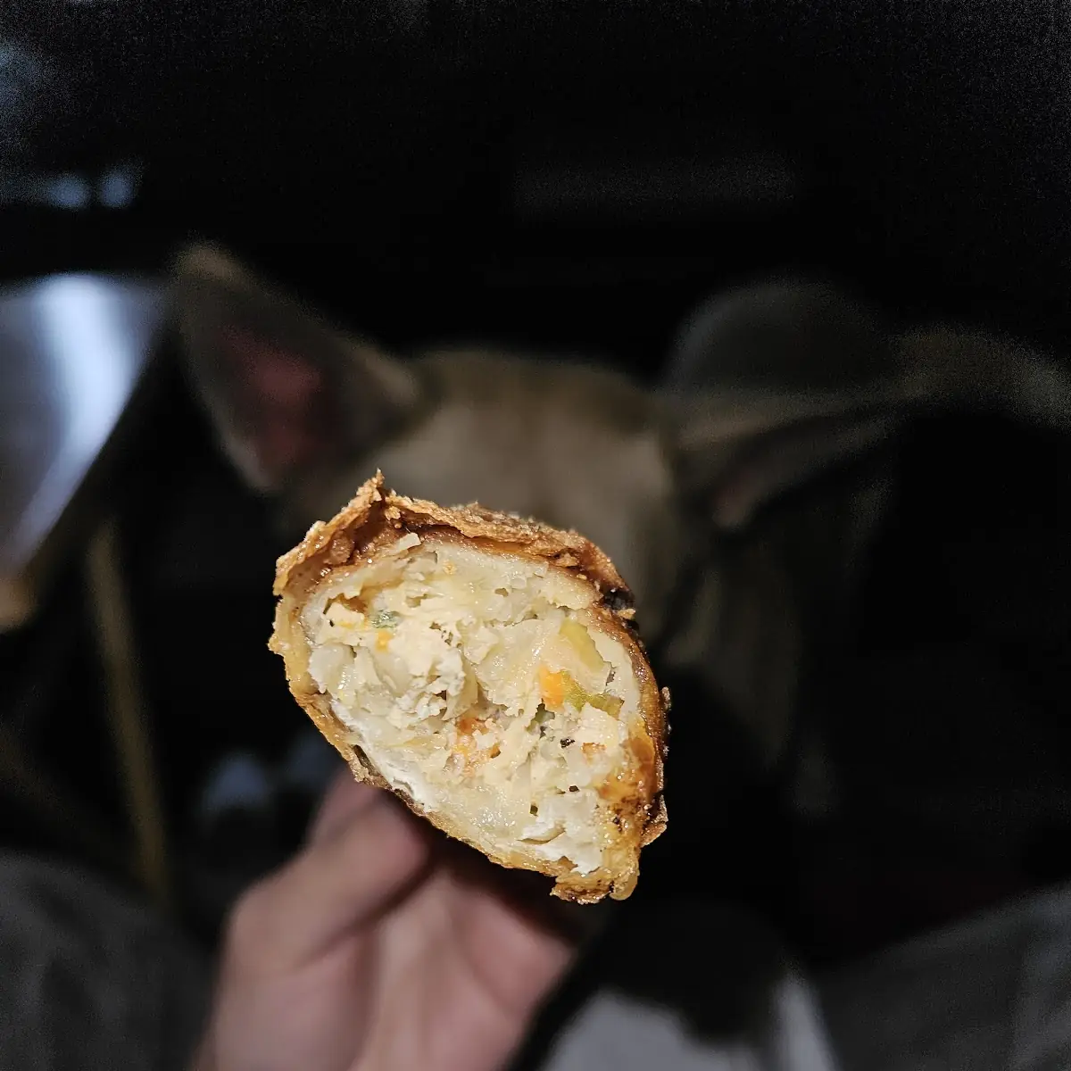 Egg Rolls