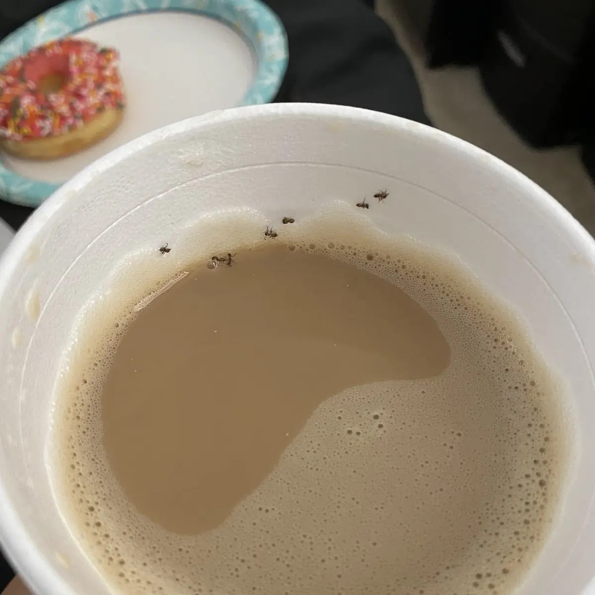 Masala Chai