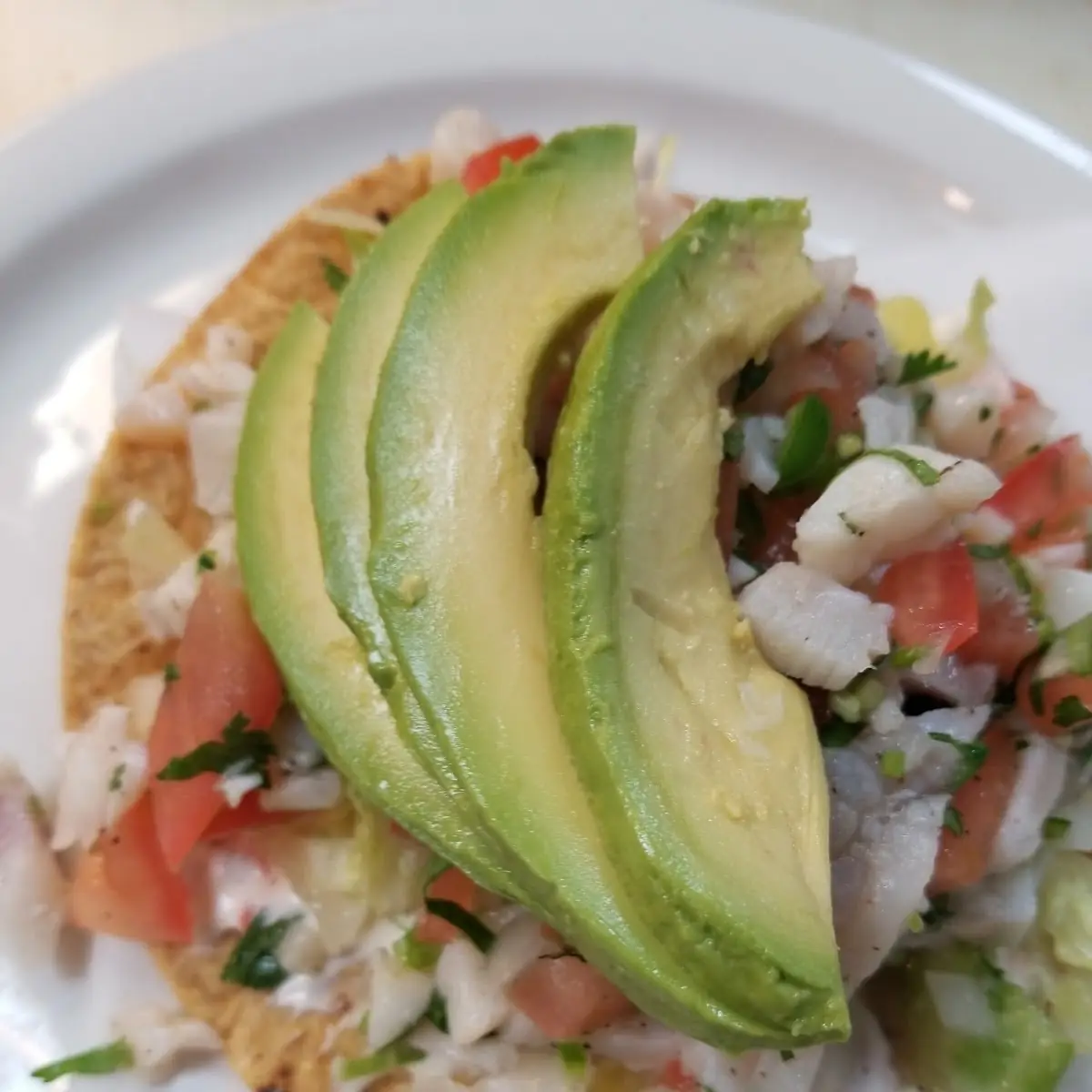 Seafood Ceviche Tostada