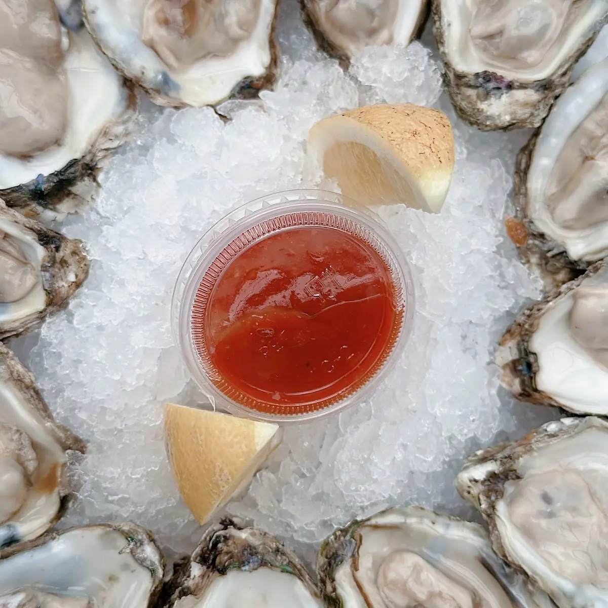 Oysters on the Half Shell