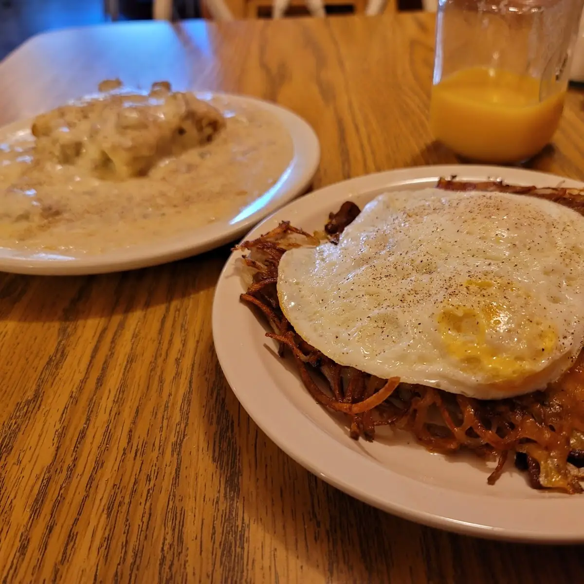 Pulled Pork Omelet