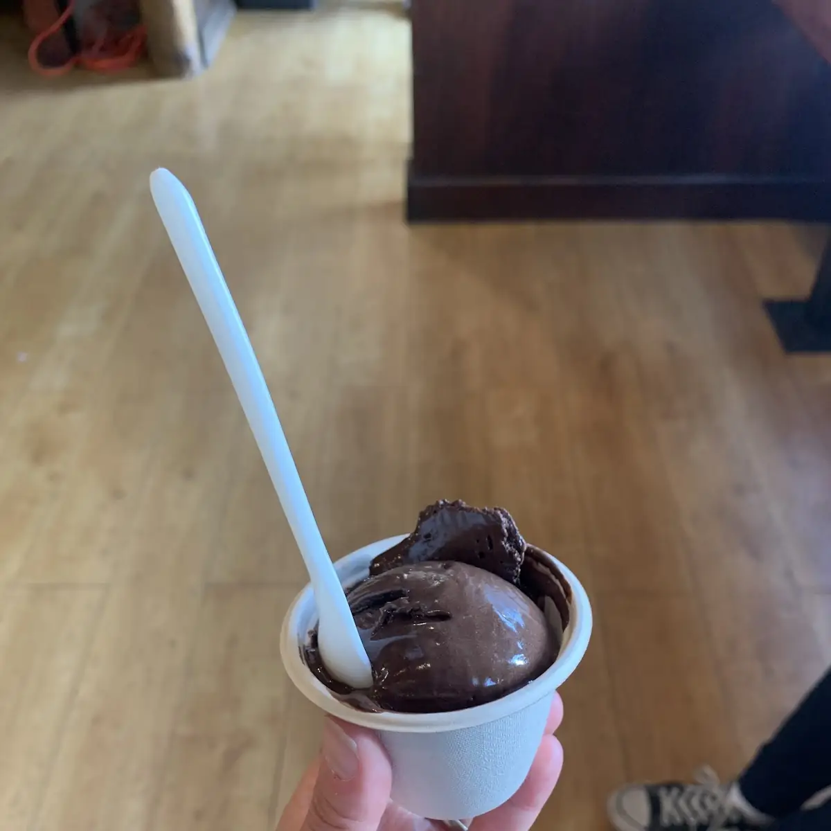 Vegan Chocolate Sorbet
