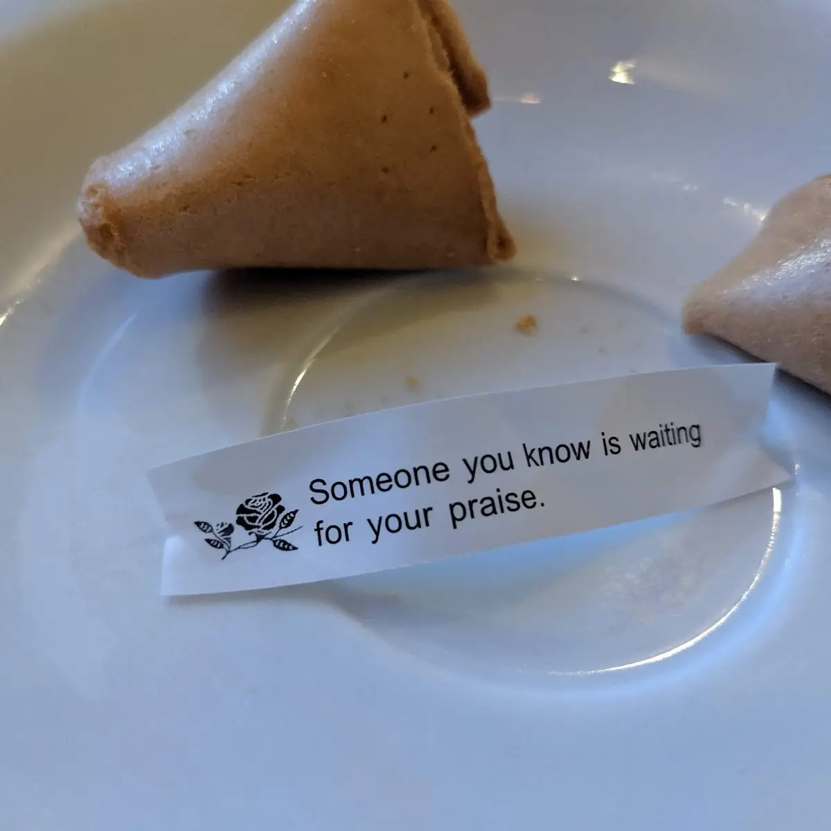 Fortune Cookie