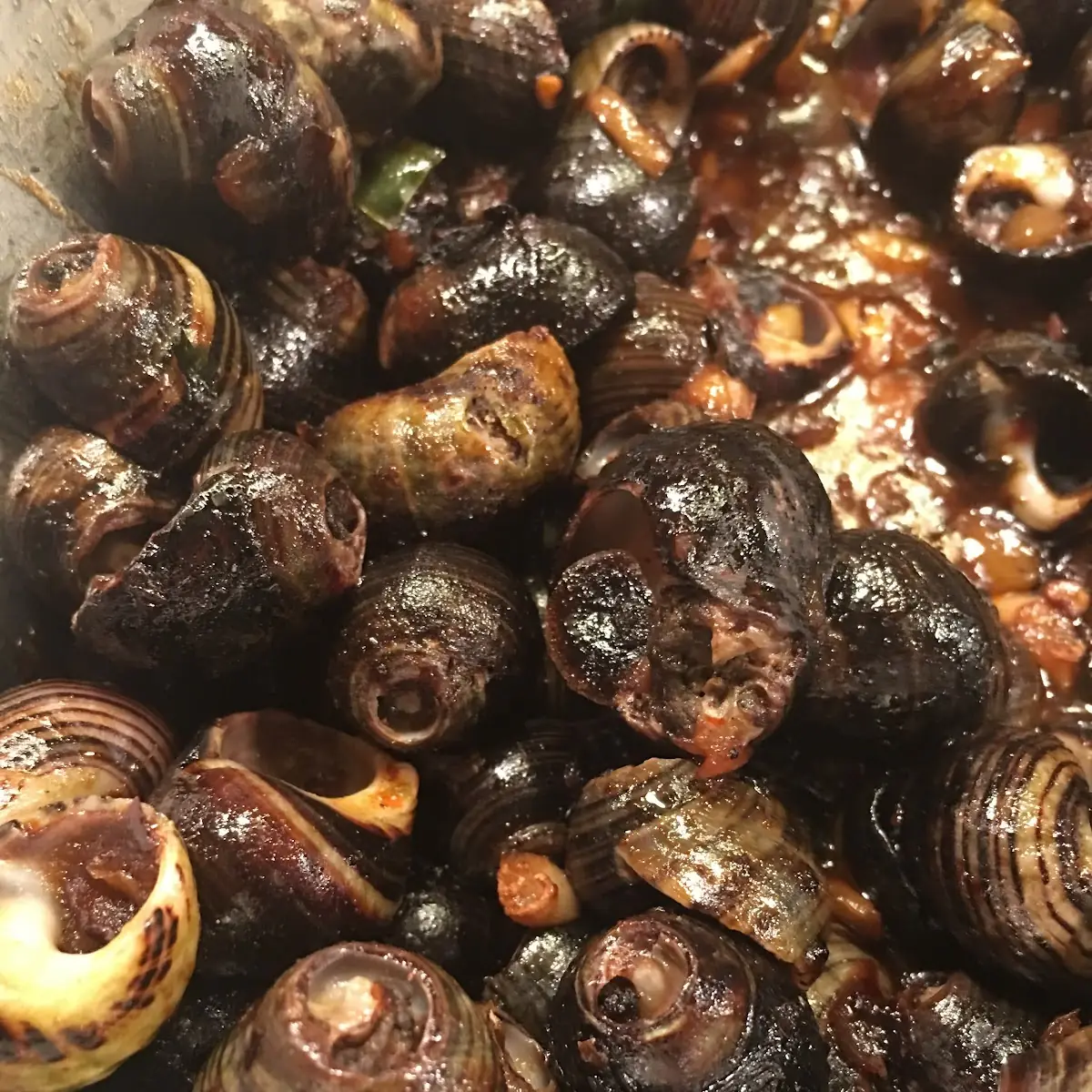 Escargot