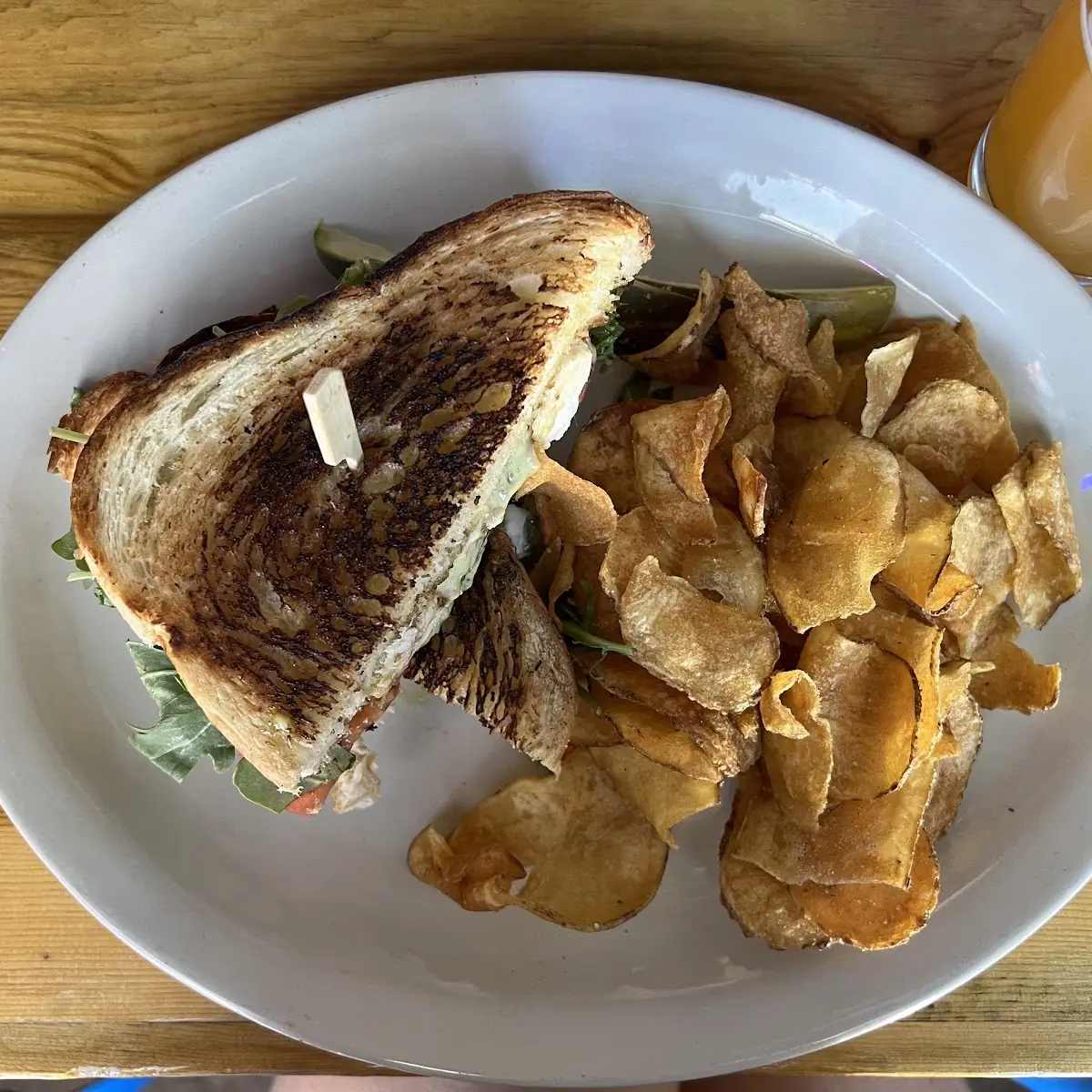Tomato Mozzarella Sandwich