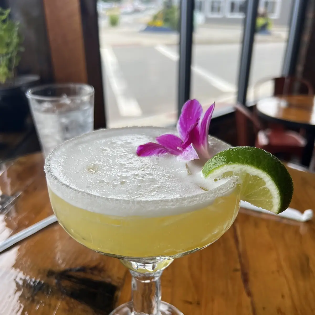 House Margarita