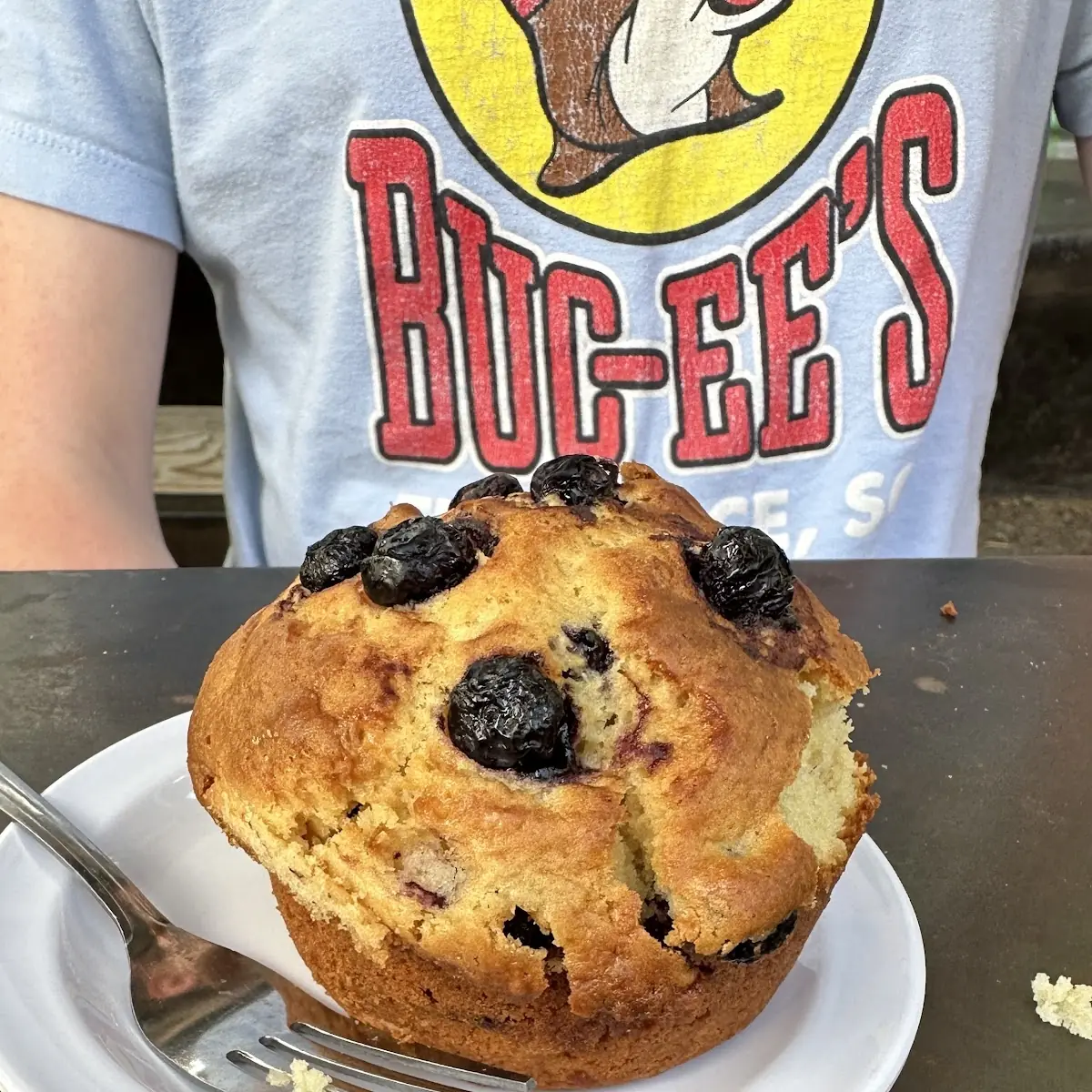Blueberry Muffin