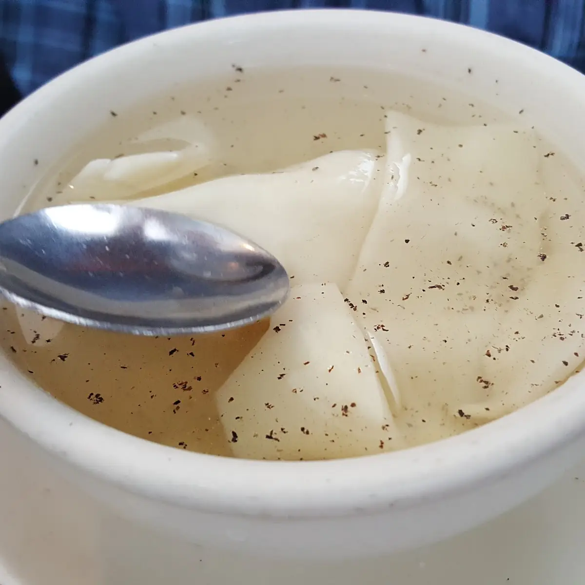 Wonton Soup
