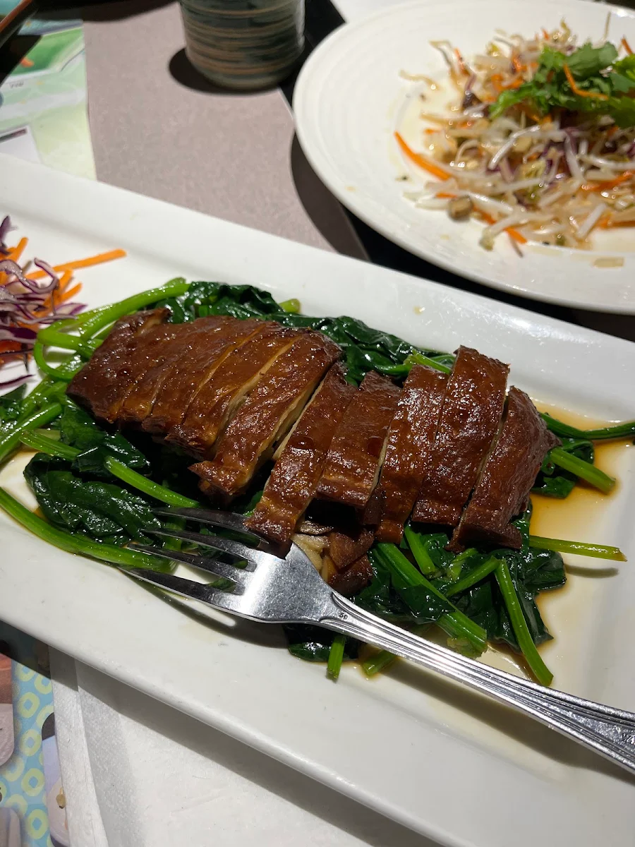 A20 House Special Duck, Tenon Vegetarian Cuisine