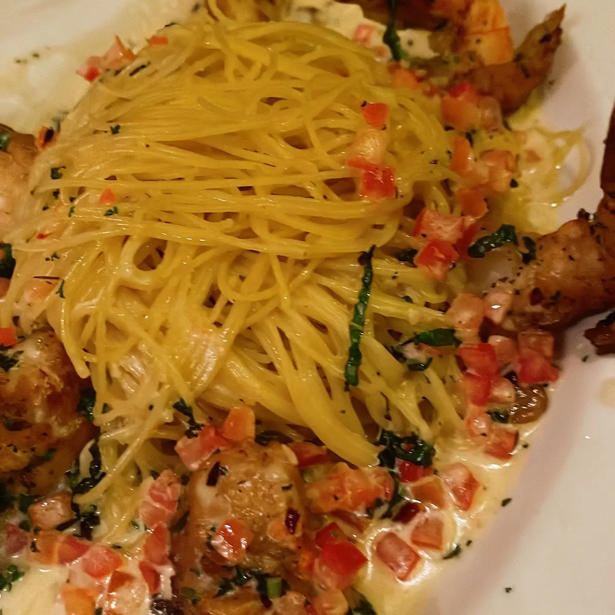 Shrimp Alfredo