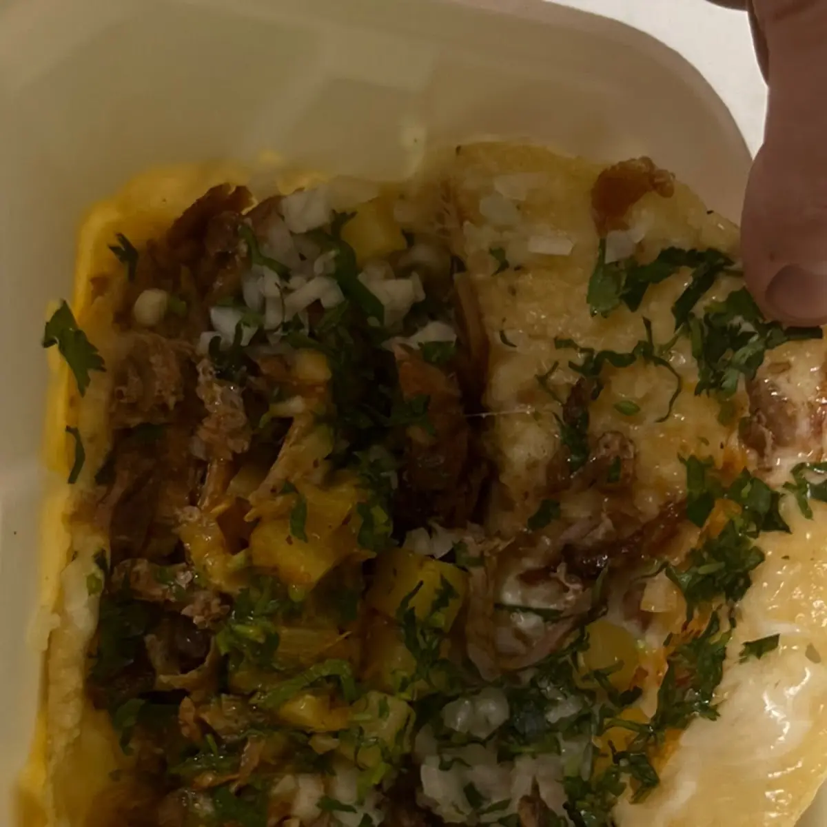 Al Pastor Quesadilla