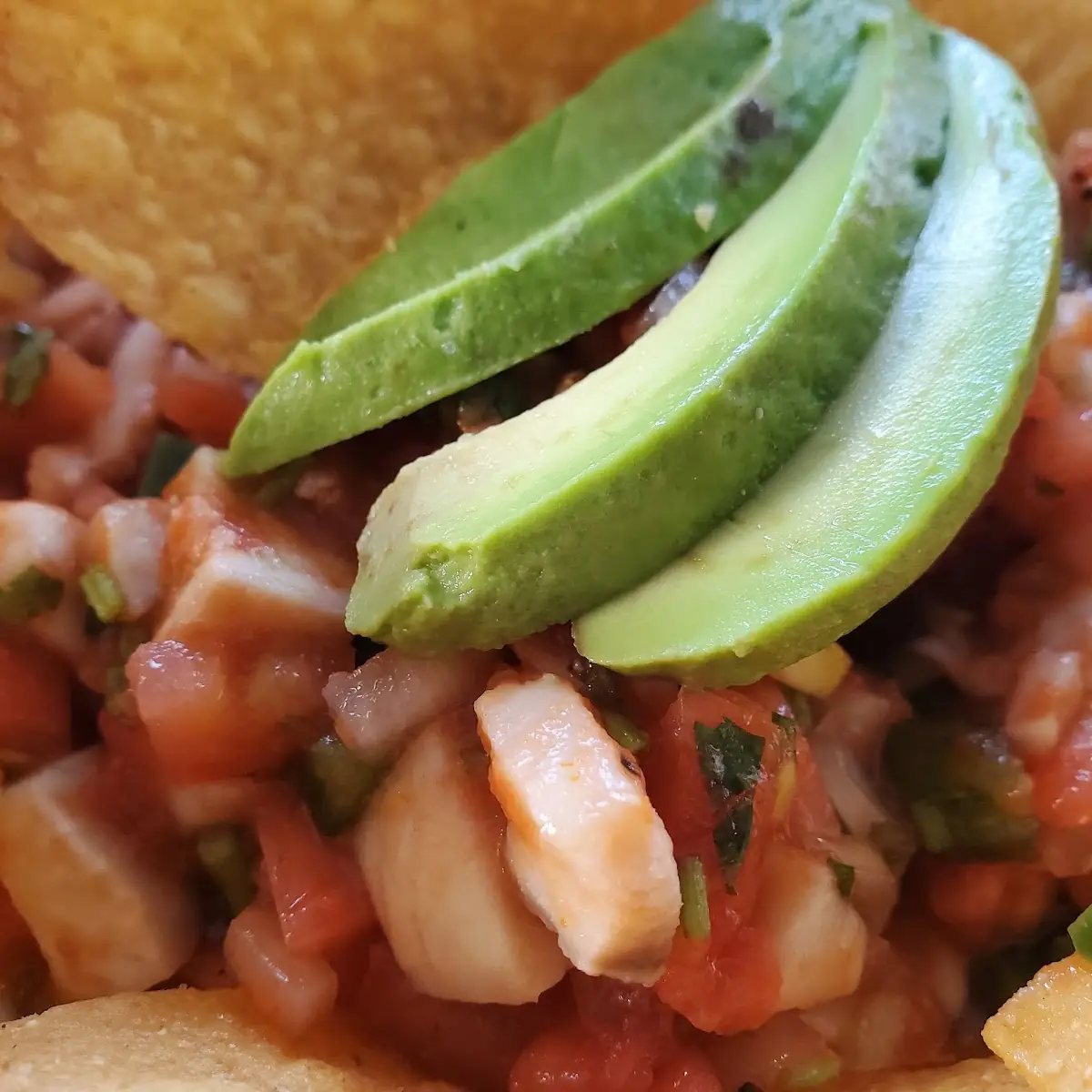 Ceviche