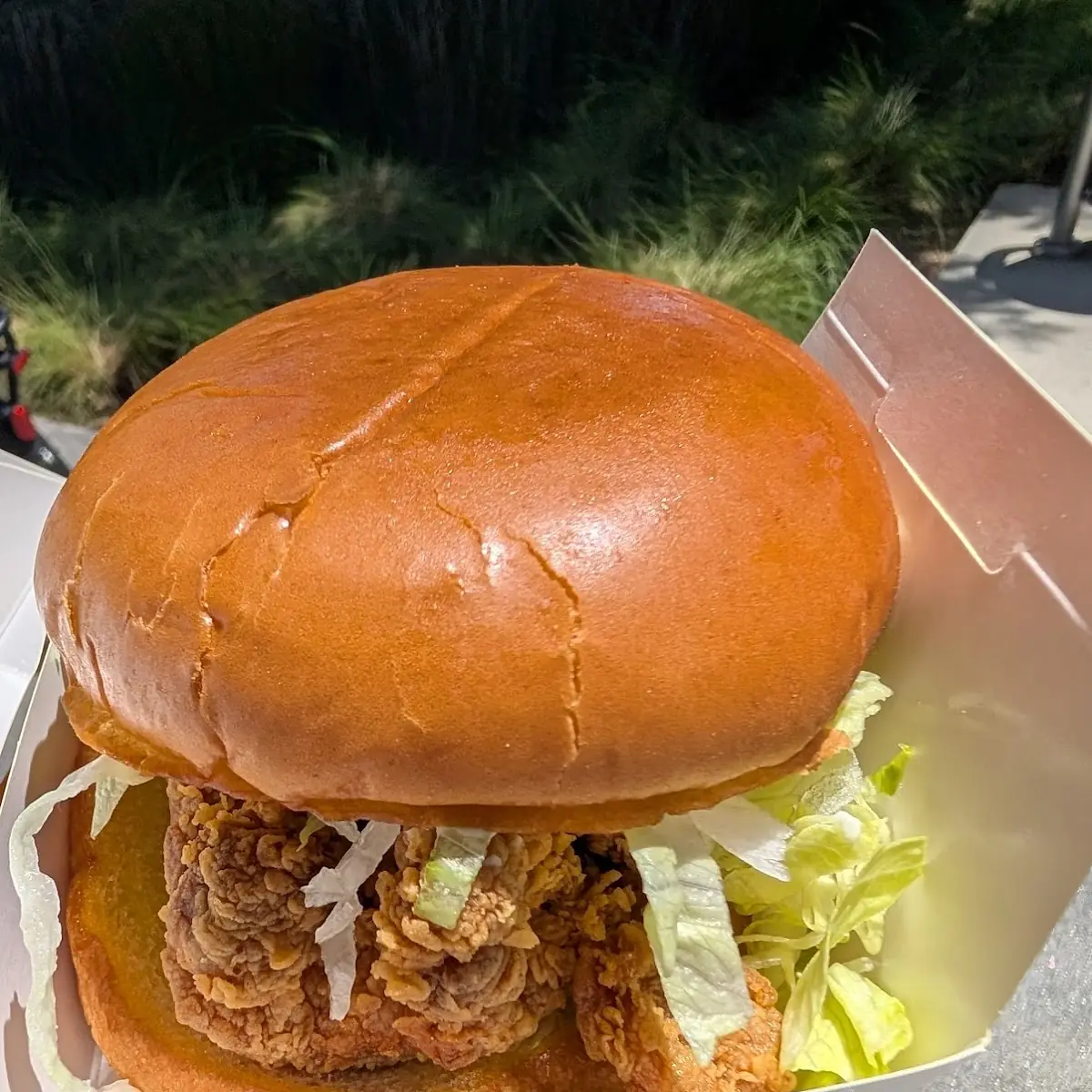 Pulled Pork
