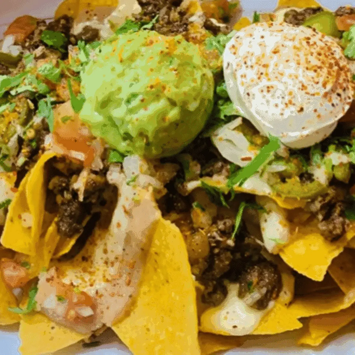 Carne Asada Fries