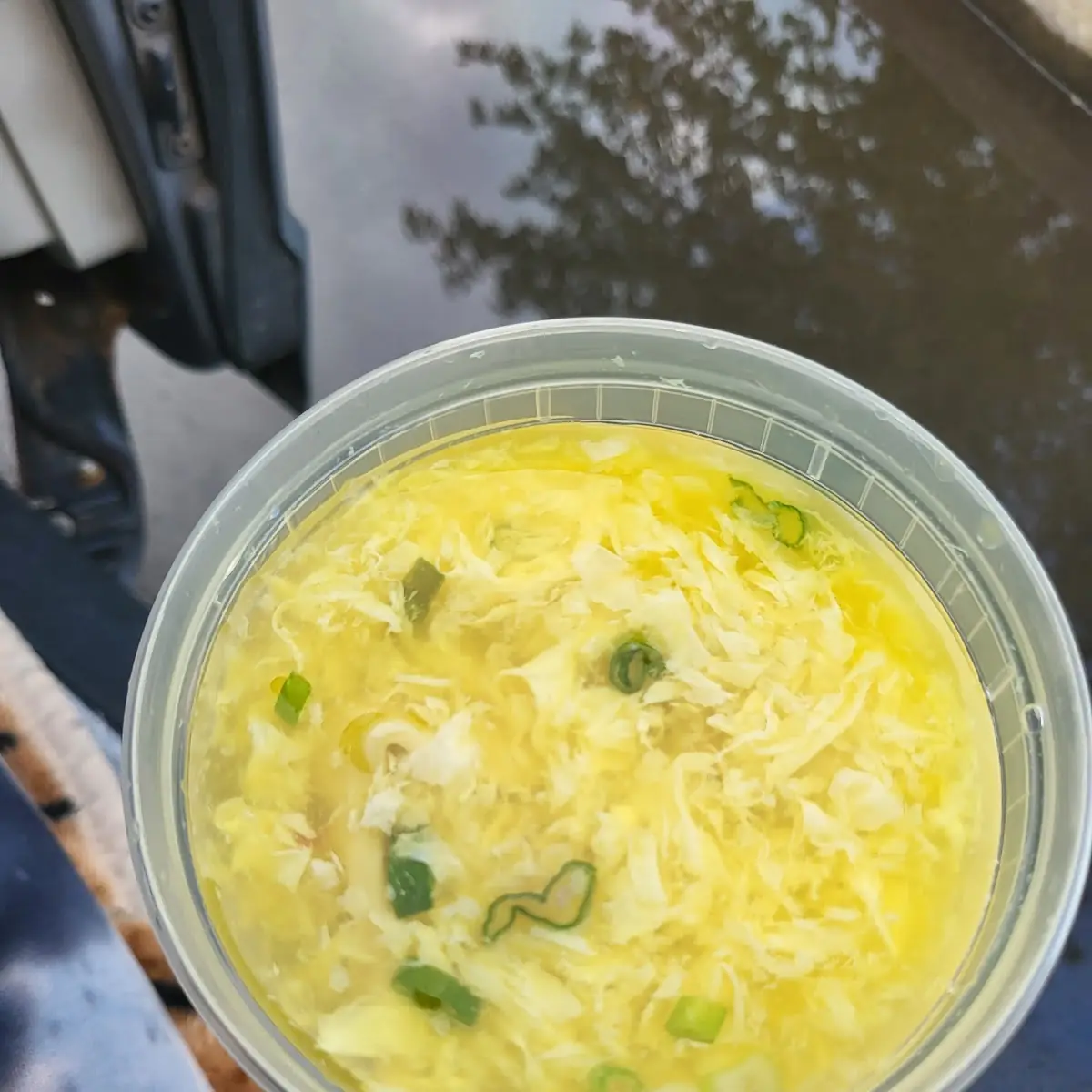 Egg Drop Wonton Soup
