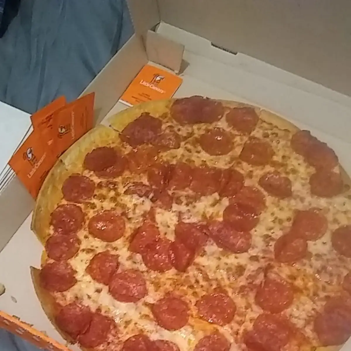 Thin Crust Pizza