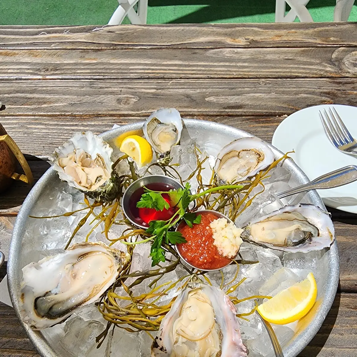 Oysters on the Half Shell