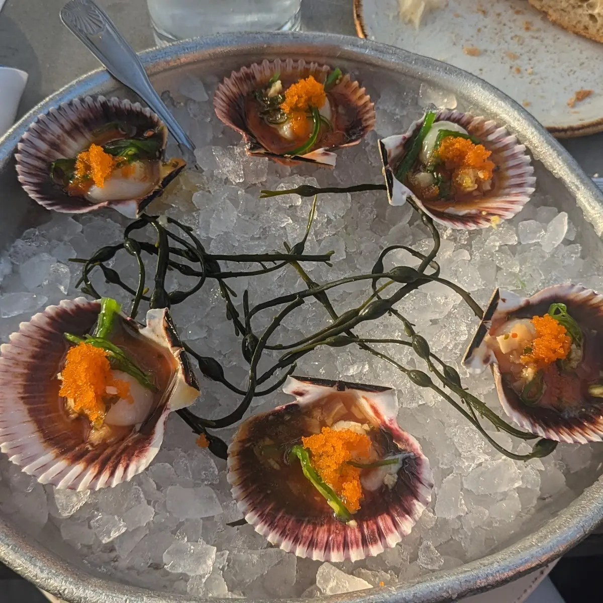 Ponzu Sashimi Sea Scallops