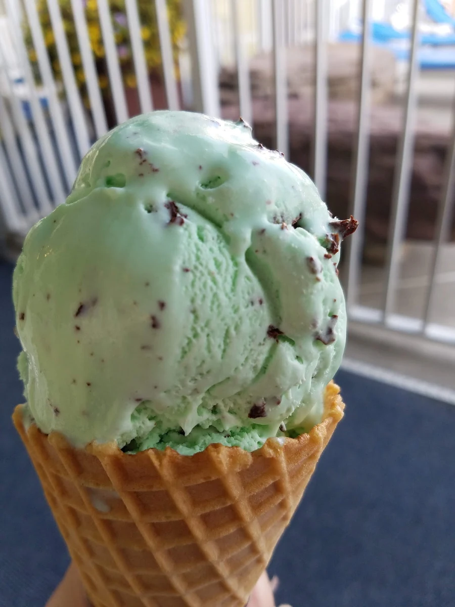 Mint Chocolate Chip Ice Cream