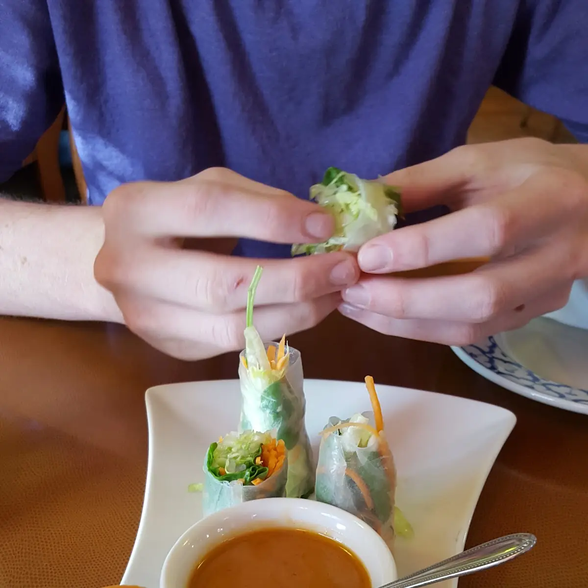 Fresh Spring Roll