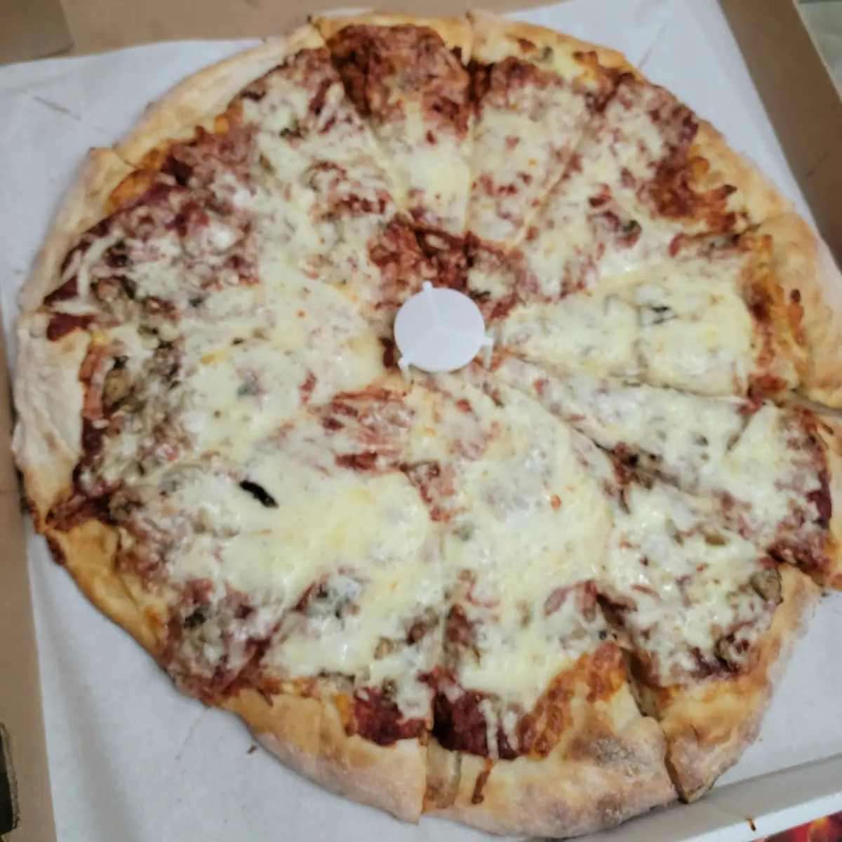 Large Mushroom Pizza