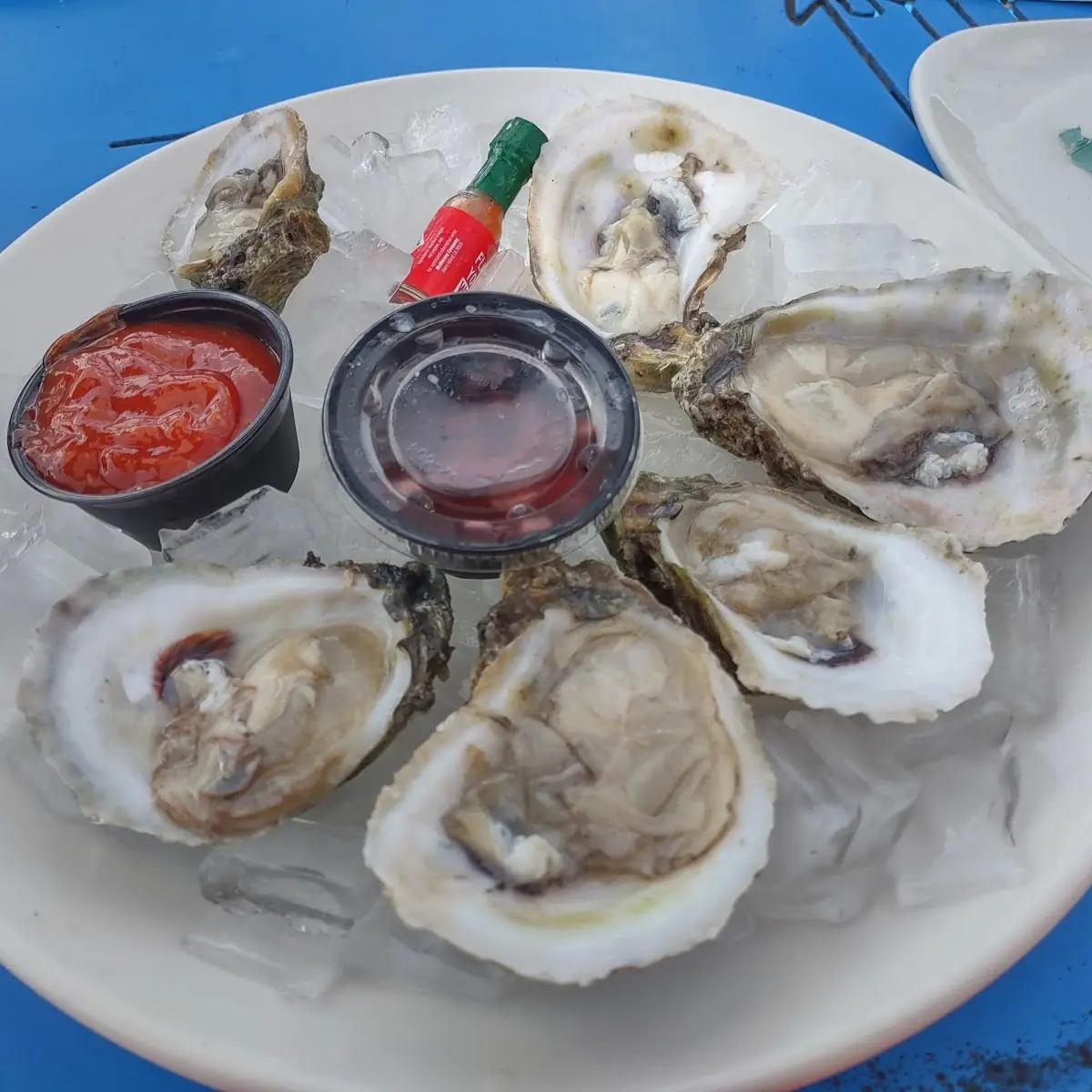 Oysters on the Half Shell