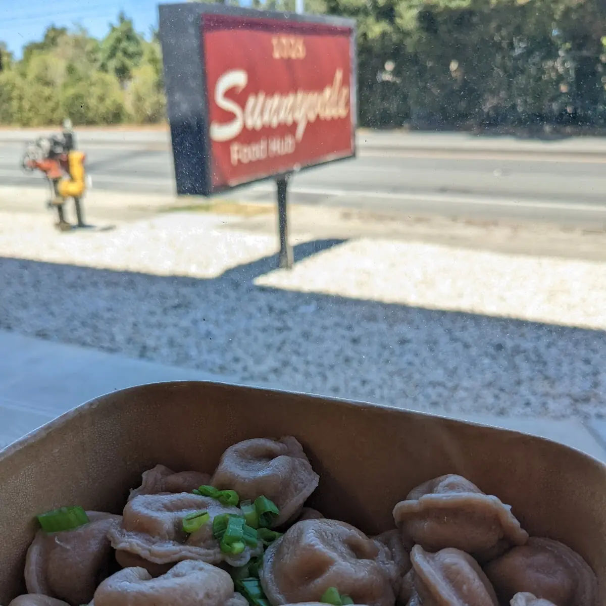Lamb Dumplings