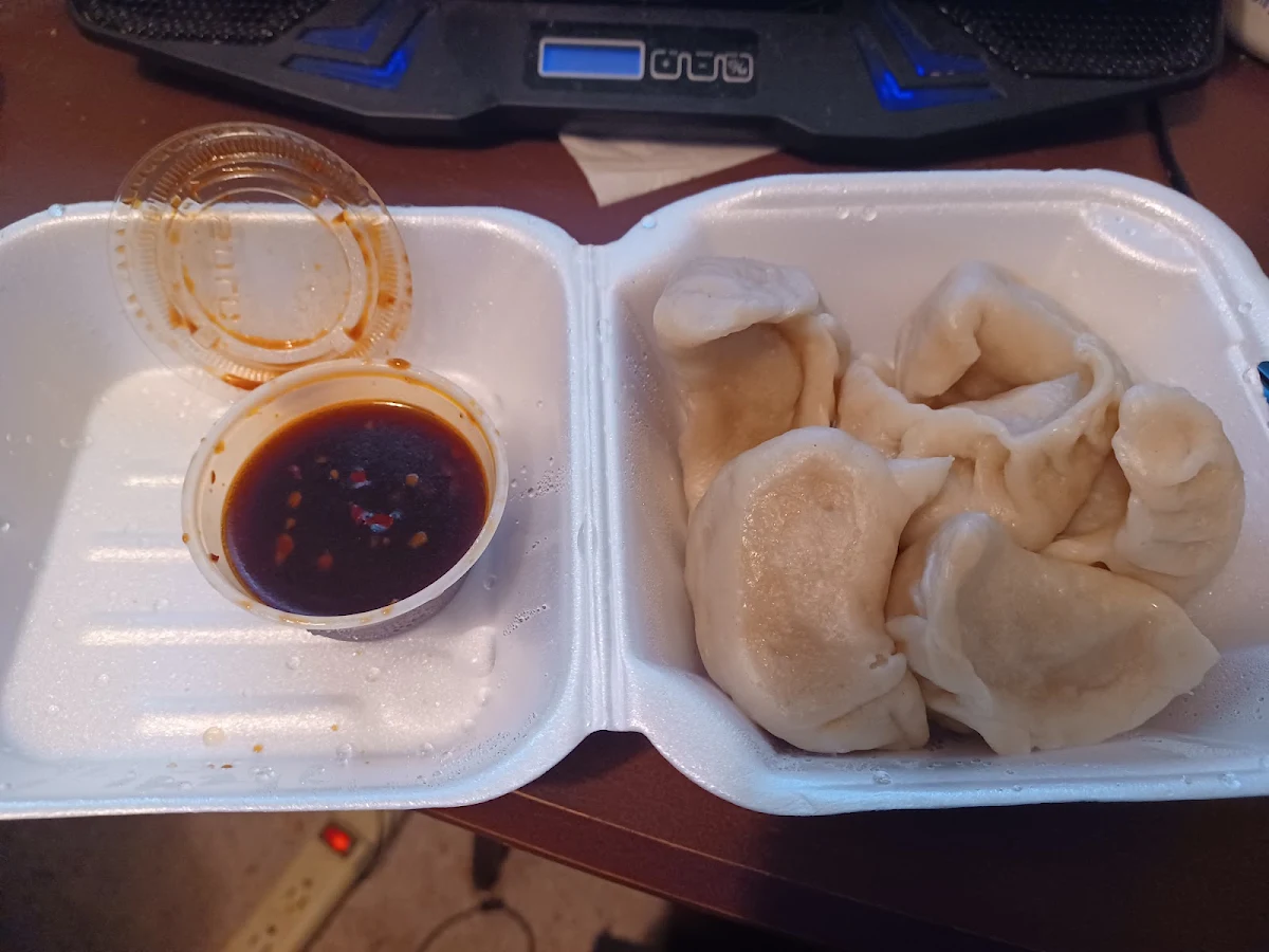 Pork Dumplings