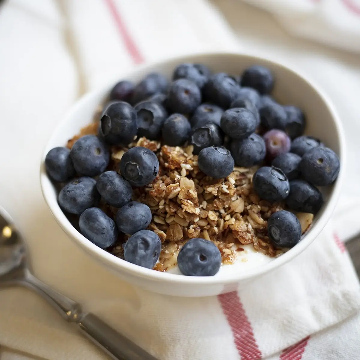 Greek Yogurt Parfait
