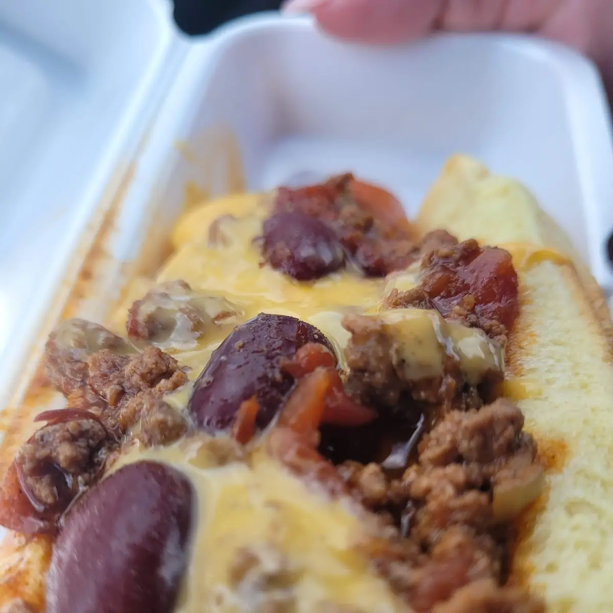 Chili Cheese Dog