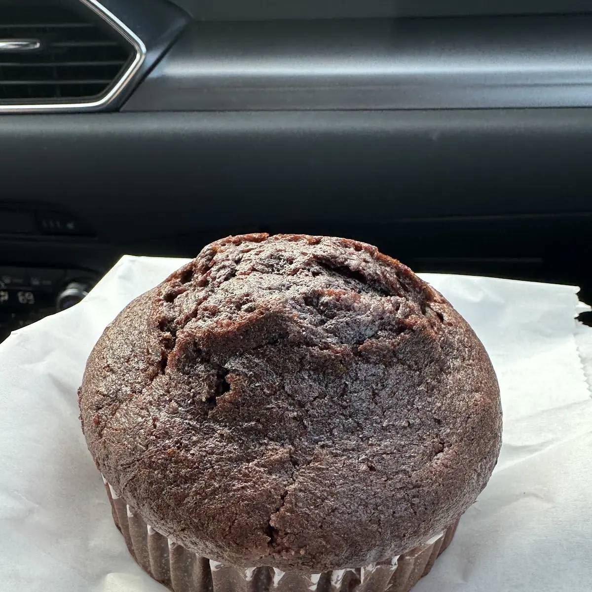 Chocolate Chip Muffin