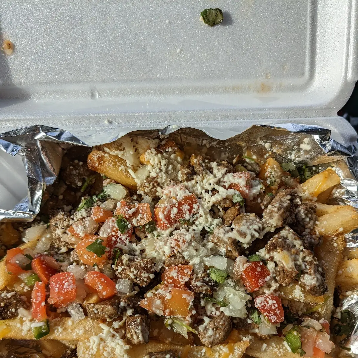 Carne Asada Fries