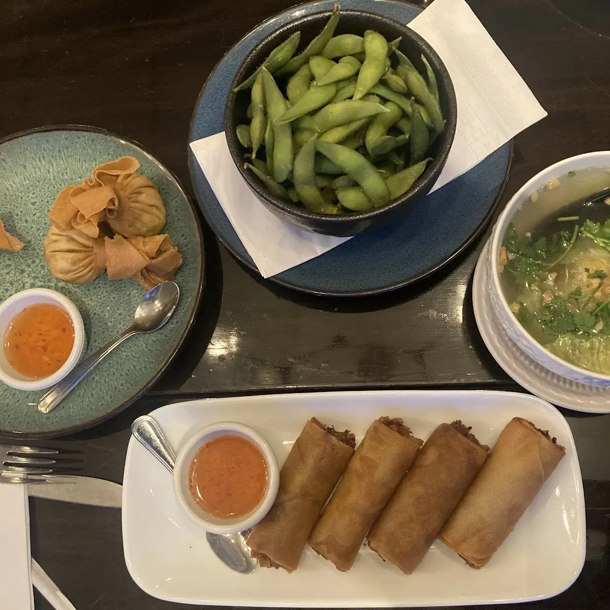 Wonton Soup and Spring Rolls
