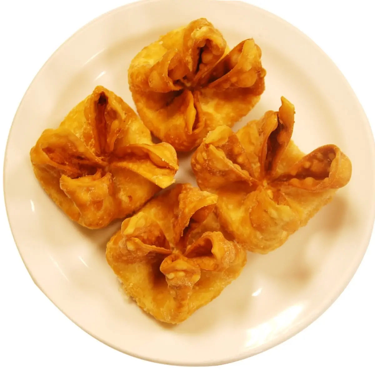 Fried Wonton Meat 8