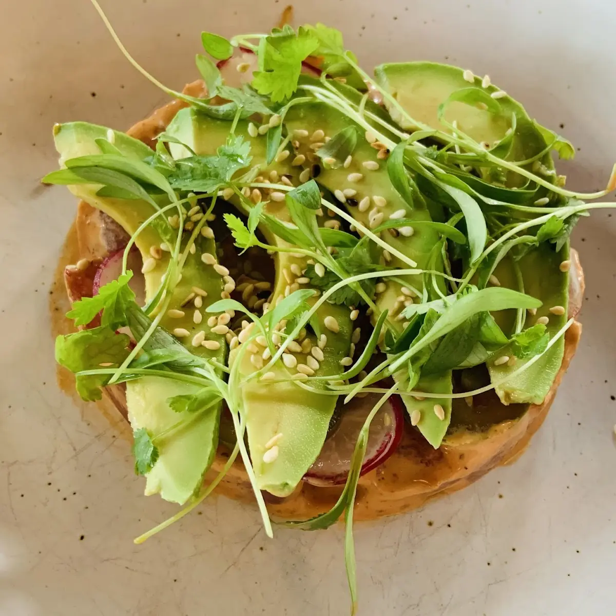 Avocado Toast