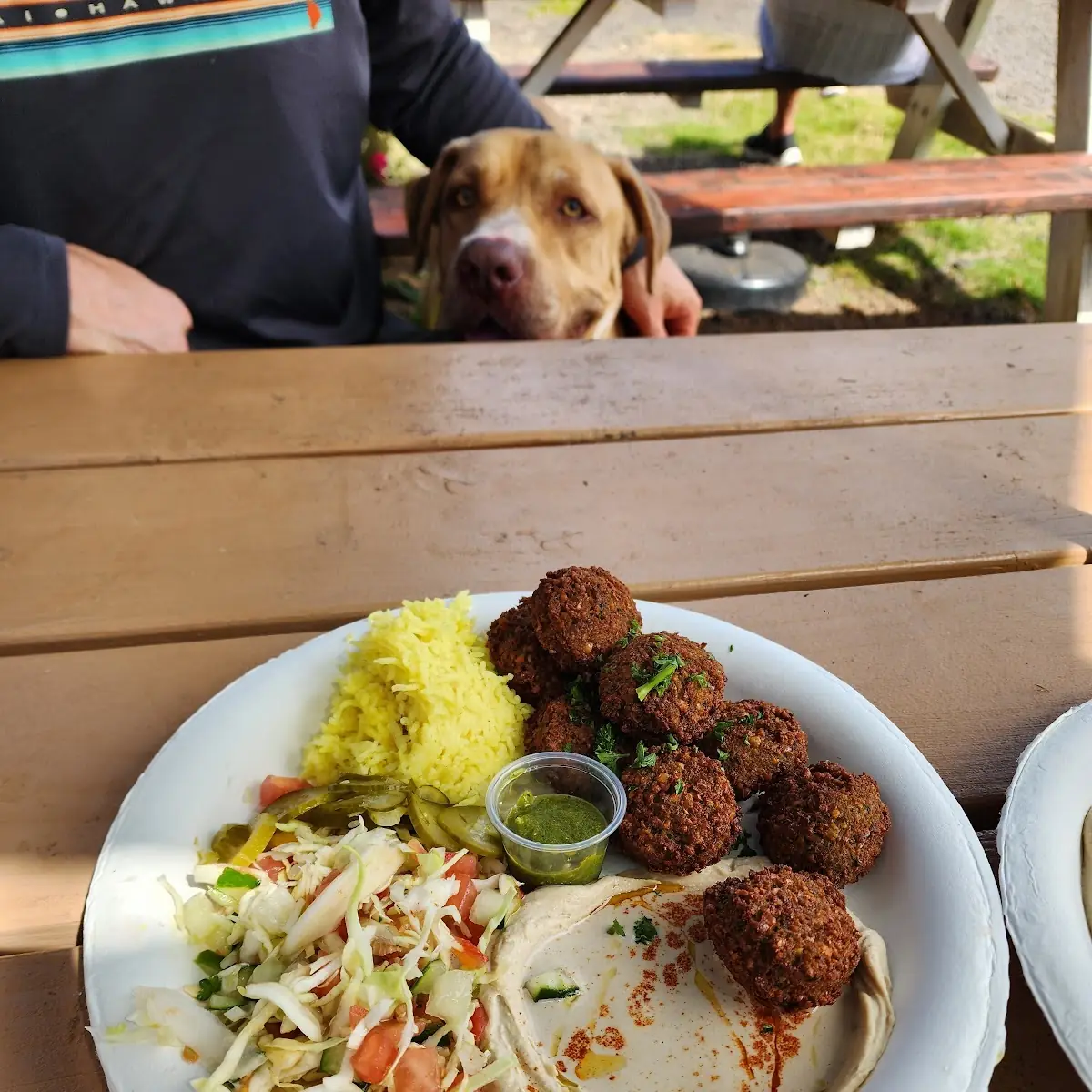 Falafel`