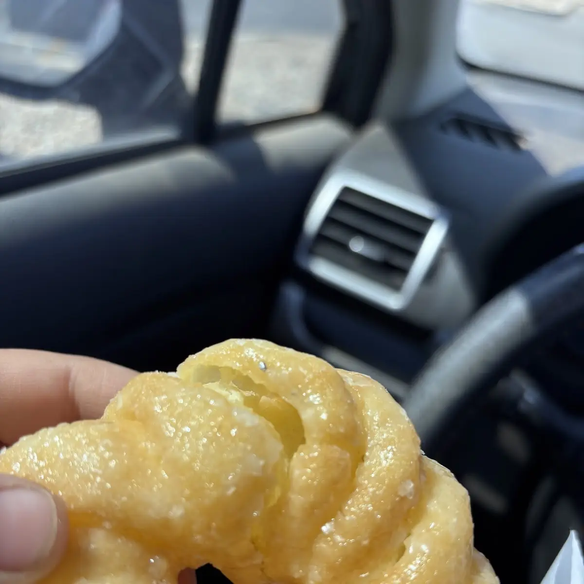 Cheddar Bagel Twist