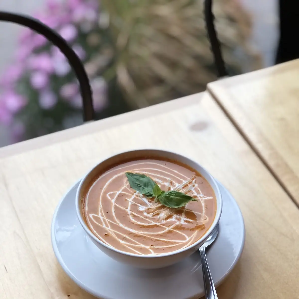 Tomato Basil Soup