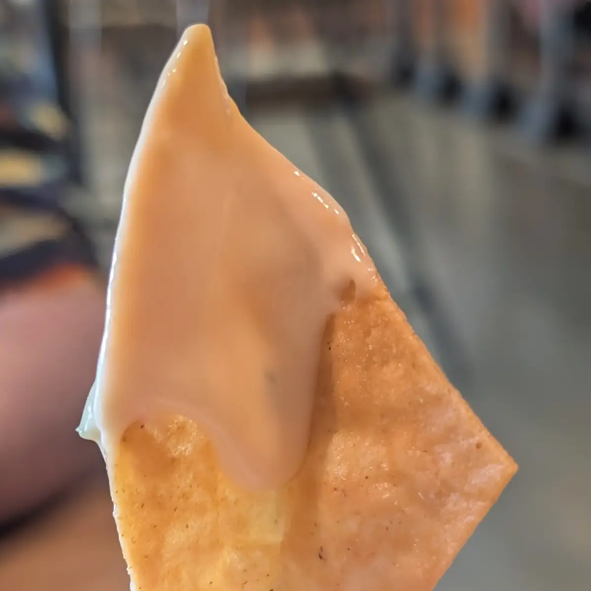 Chips and Queso Blanco Sauce
