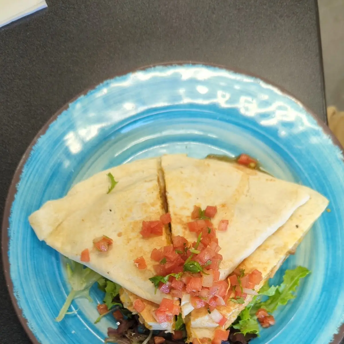 Chicken Quesadilla
