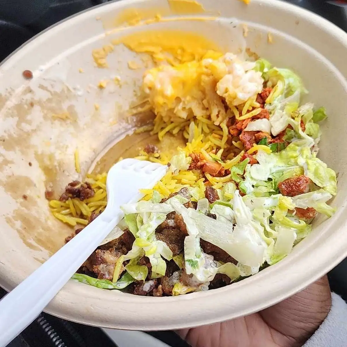 Burrito Bowl