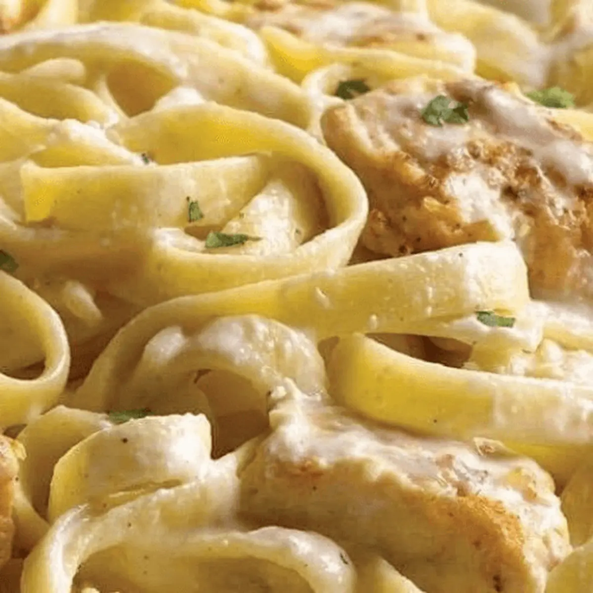 Fettuccine Alfredo