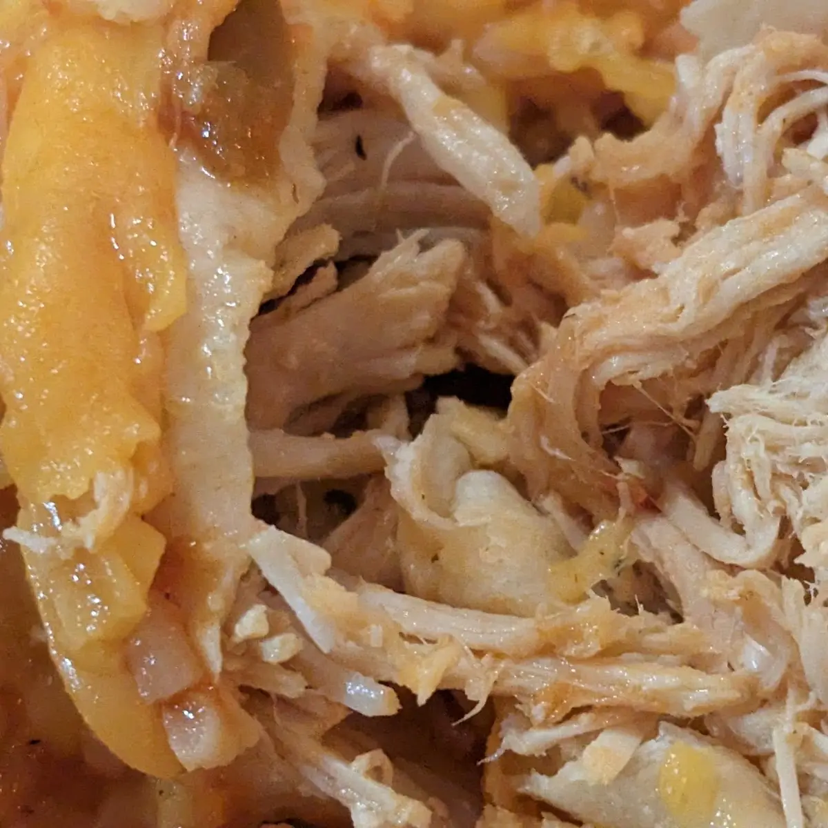 Chicken Burrito Detail