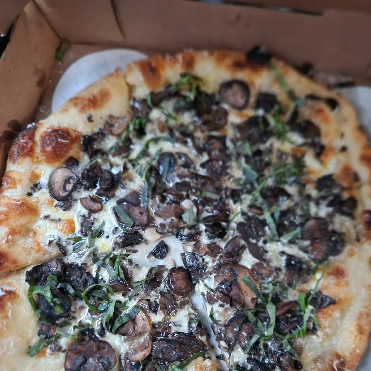 Funghi Pizza