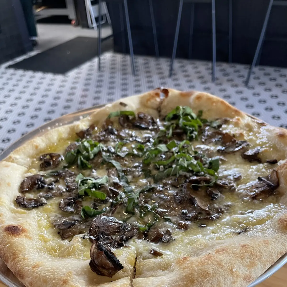 Wild Mushroom