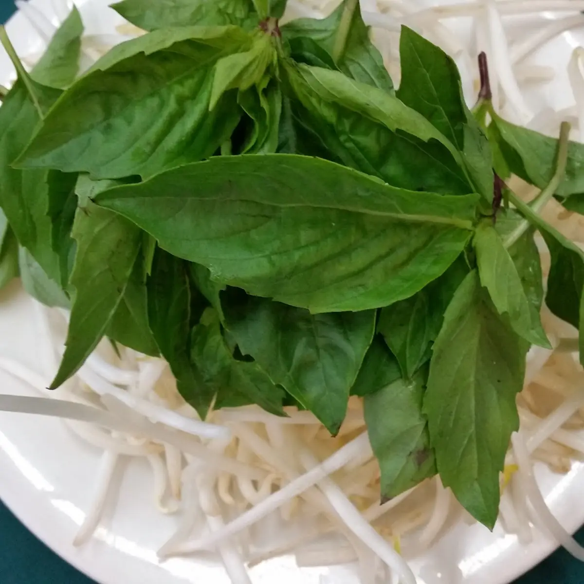 Thai Basil