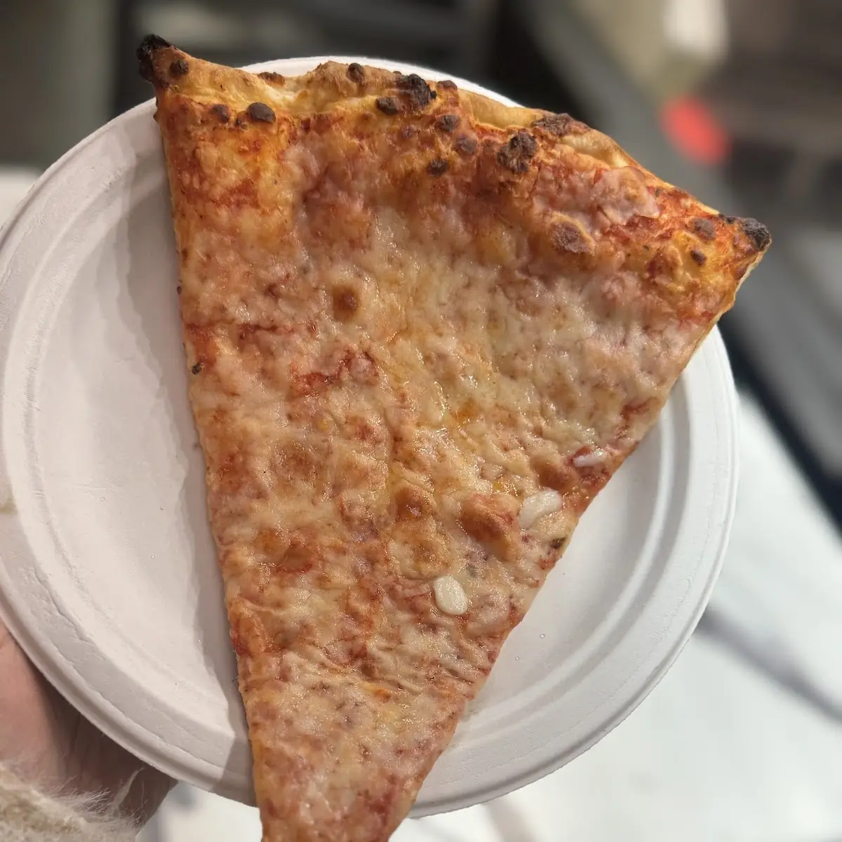 Regular Cheese Pizza Slice