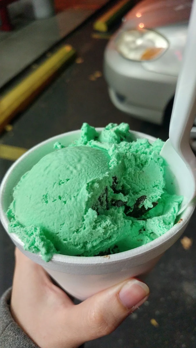 Mint Chocolate Chip