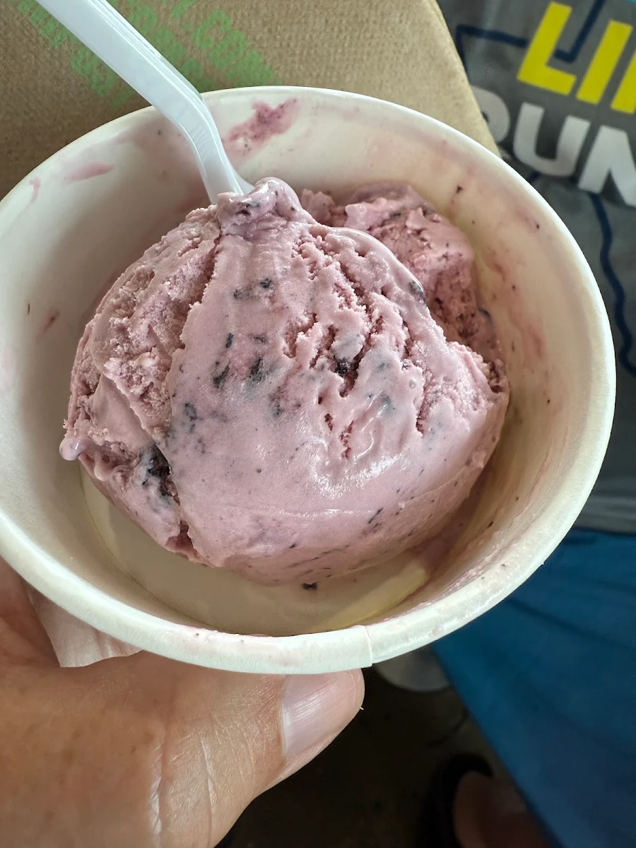 Red Bean Ice Cream